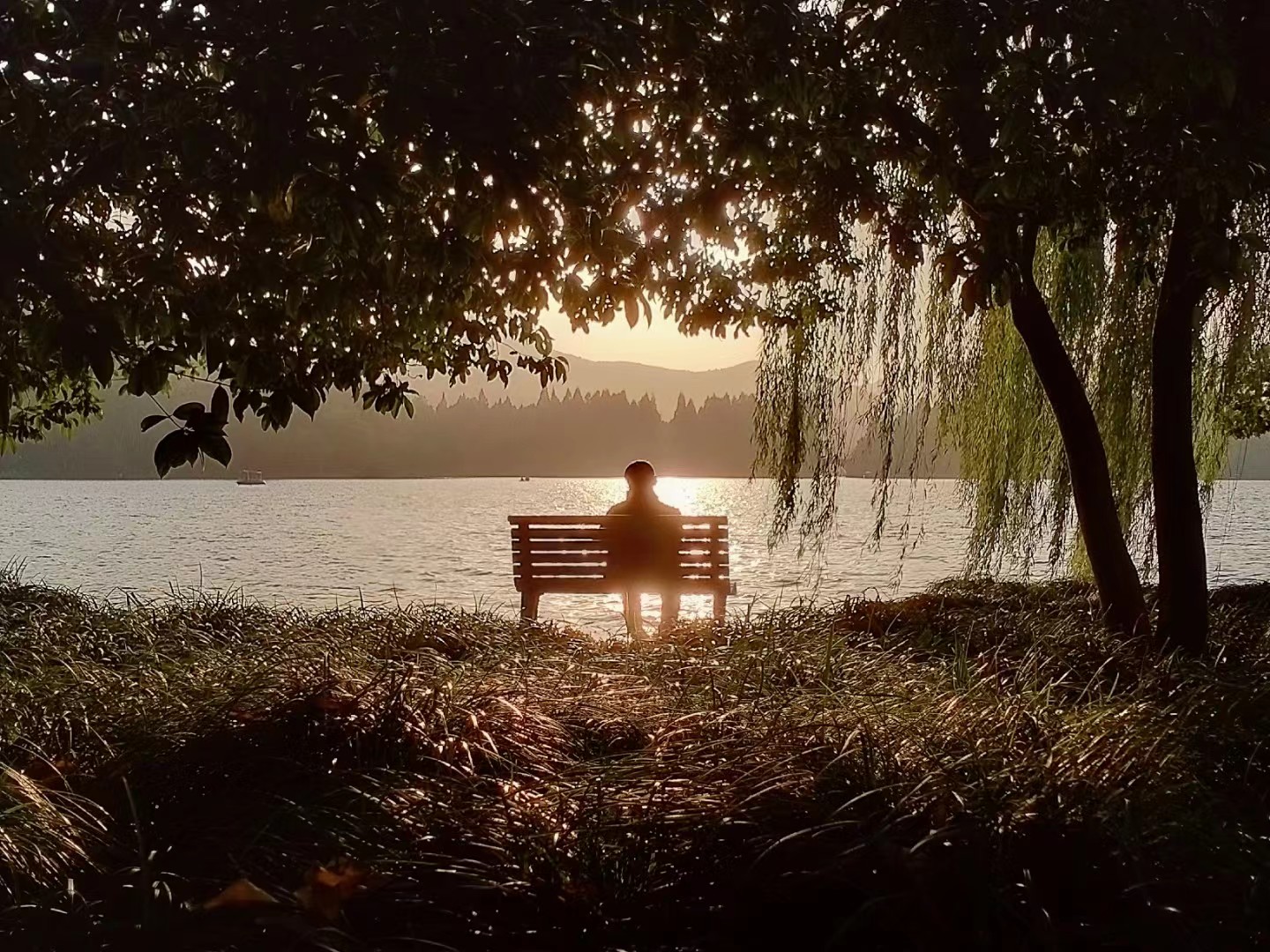 公园20分钟效应：都市人解锁心灵疗愈新方式