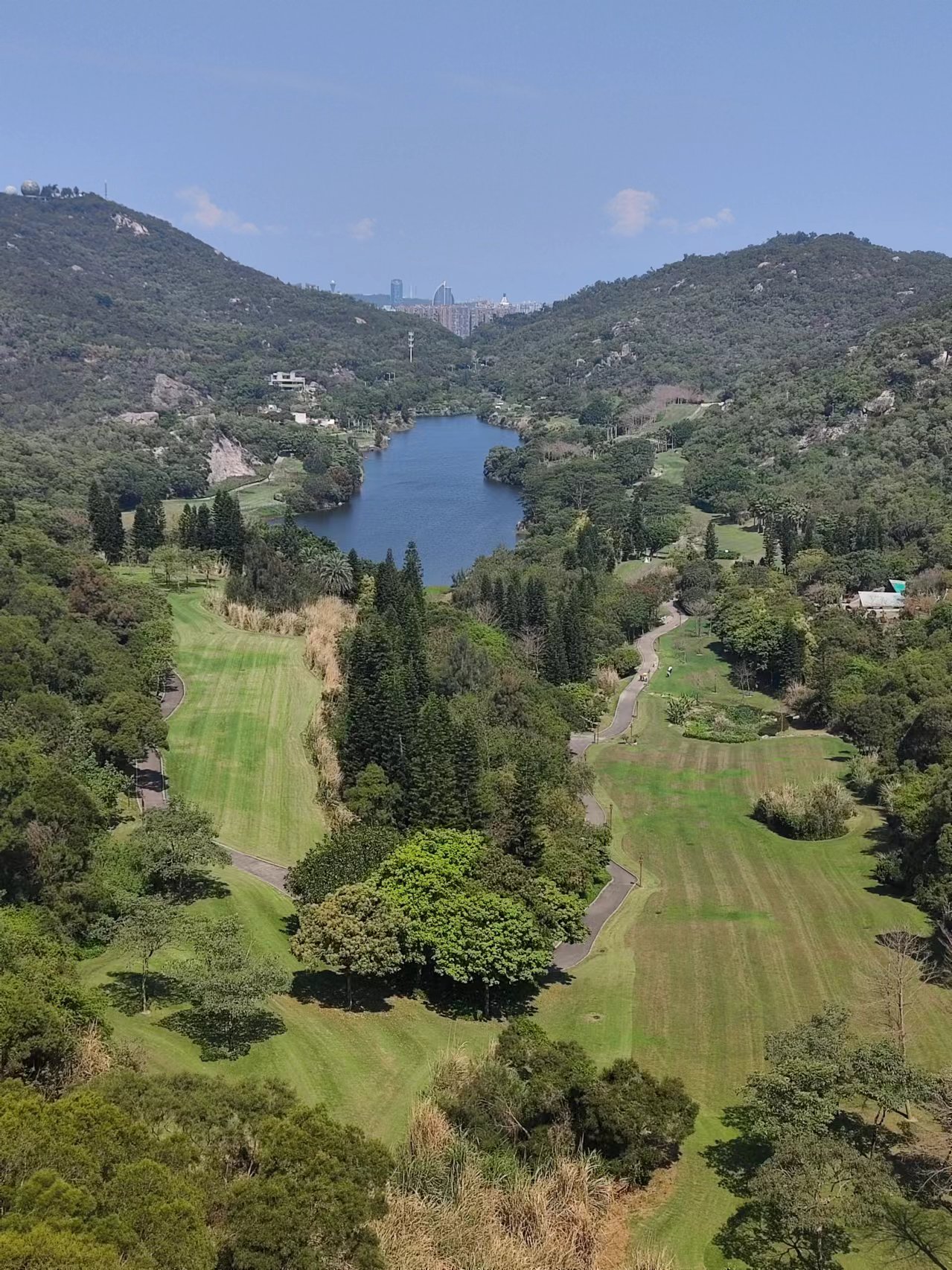 公园20分钟效应：都市人解锁心灵疗愈新方式