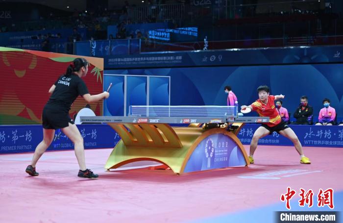 孙颖莎成都世乒赛团体赛攻势凶猛。　安源 摄